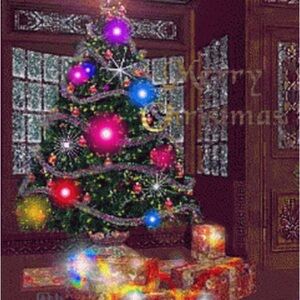 Festive Christmas Tree with Multicolor Lights. For qui only